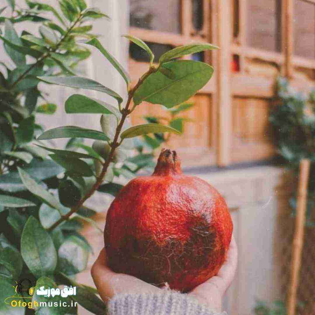  بچه شهرستان کوچه پایینا زندگیشو شر کرد