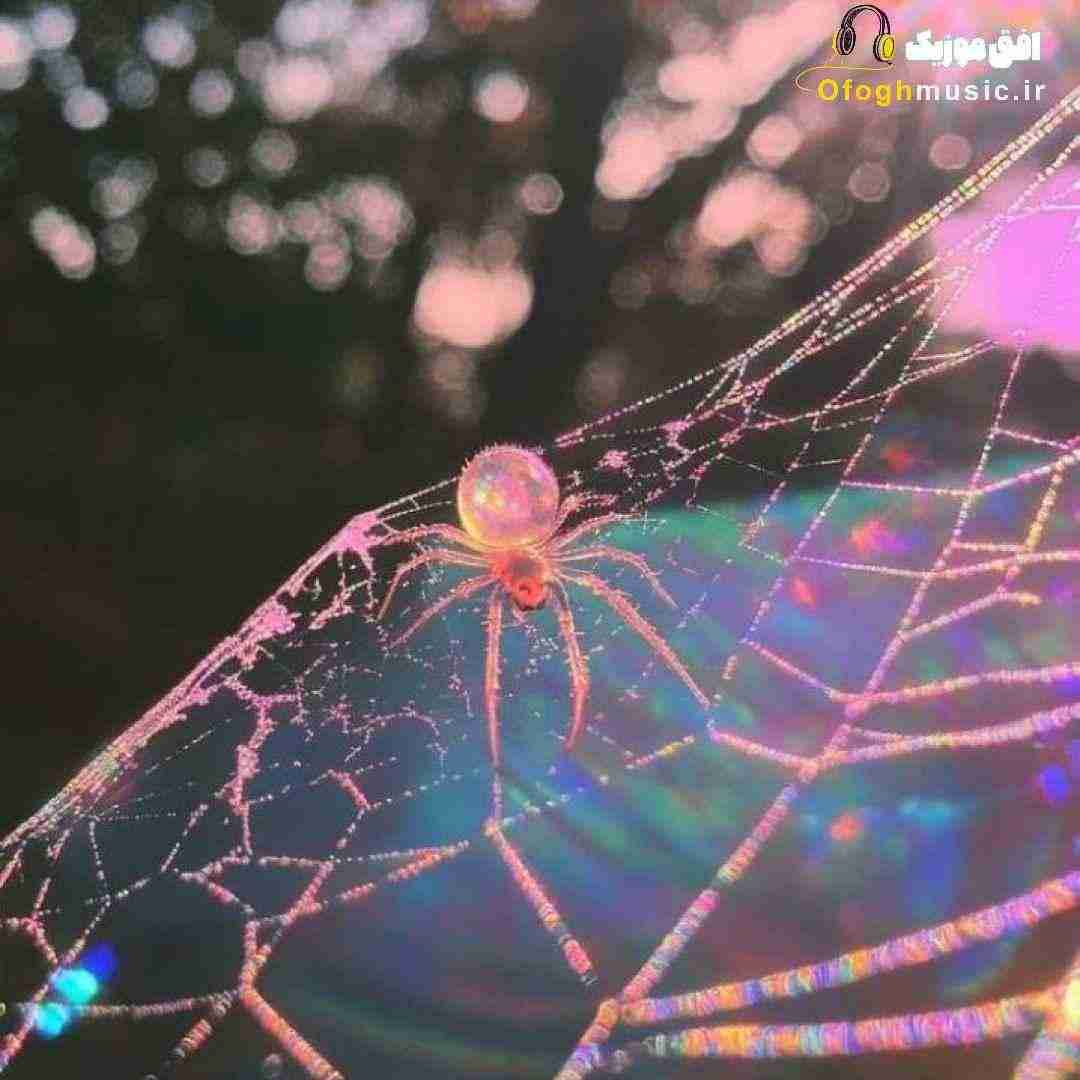  تو مال منی هر جای شهر بغل منی تنهایی شب