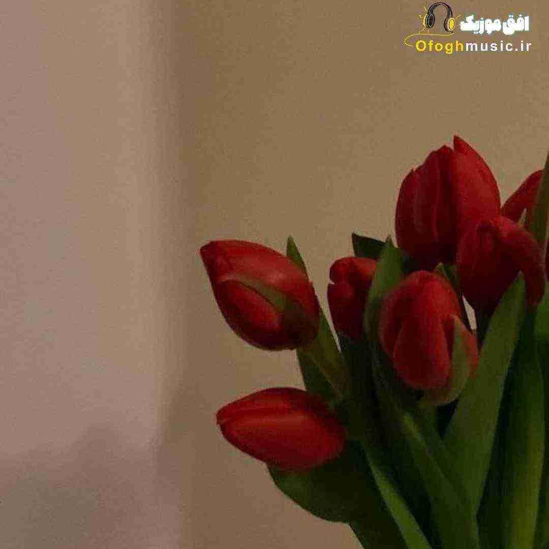 کسی واسه تو مثل من نمیشه بریدی همه چیو