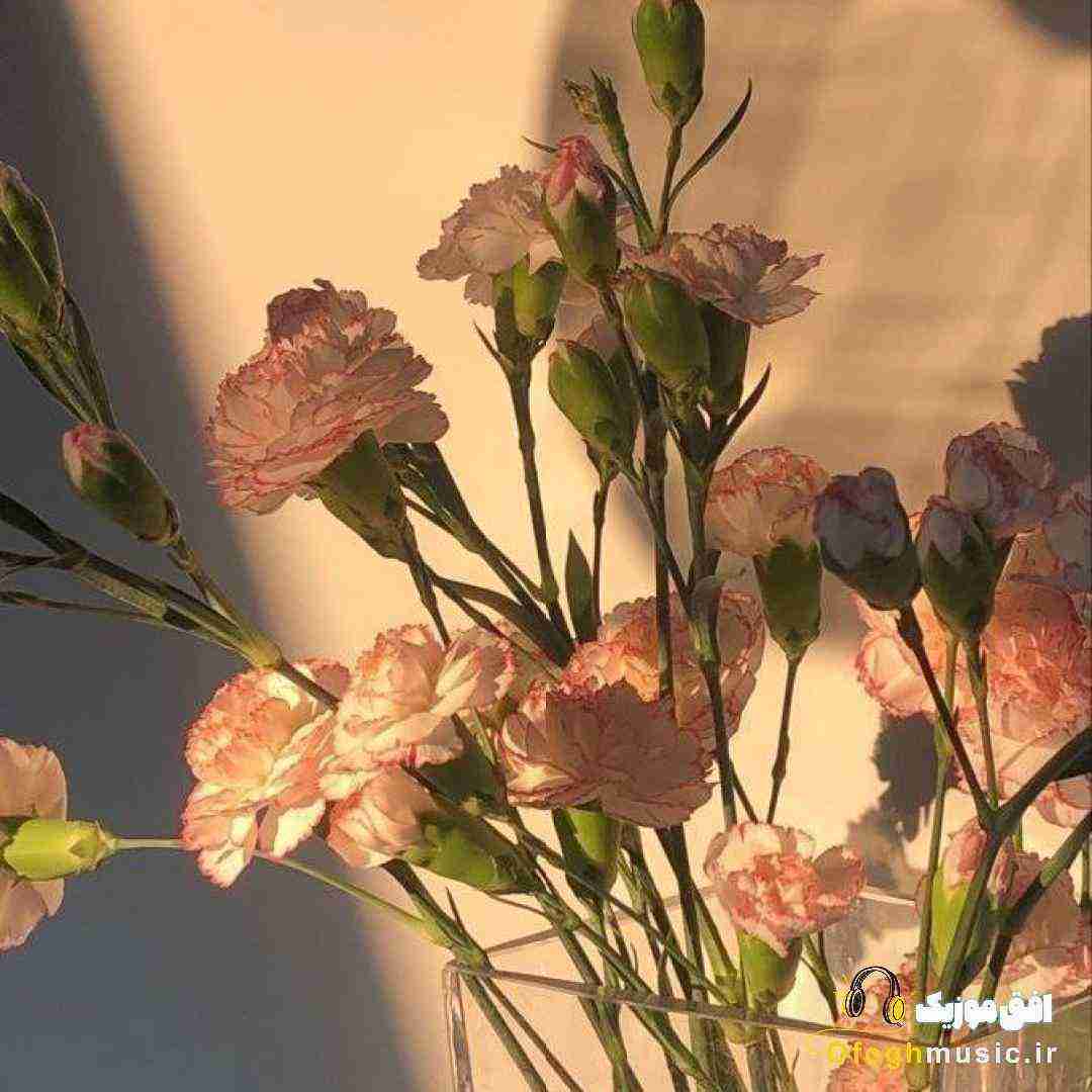  هرکی بود تو راهت بغل کردی بچه بگو
