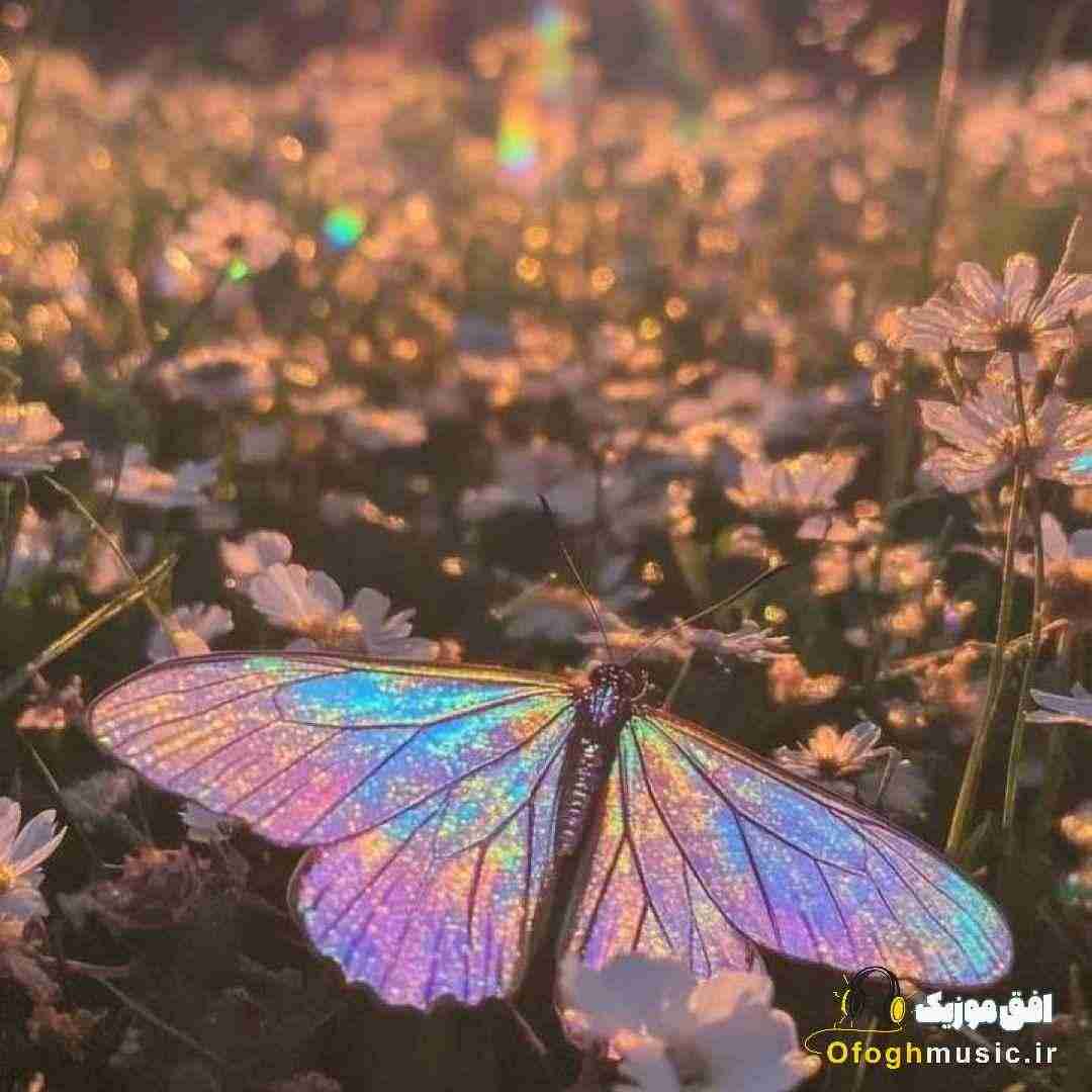  مریض حالیم خوش نیست نه خواب راحتی دارم با صدای دختر اینستایی