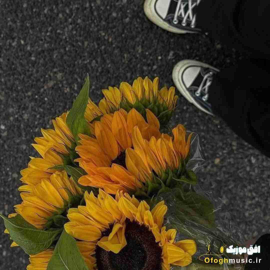  نگاهت روشن بود خنده تو بی نظیر ترین وطن بود