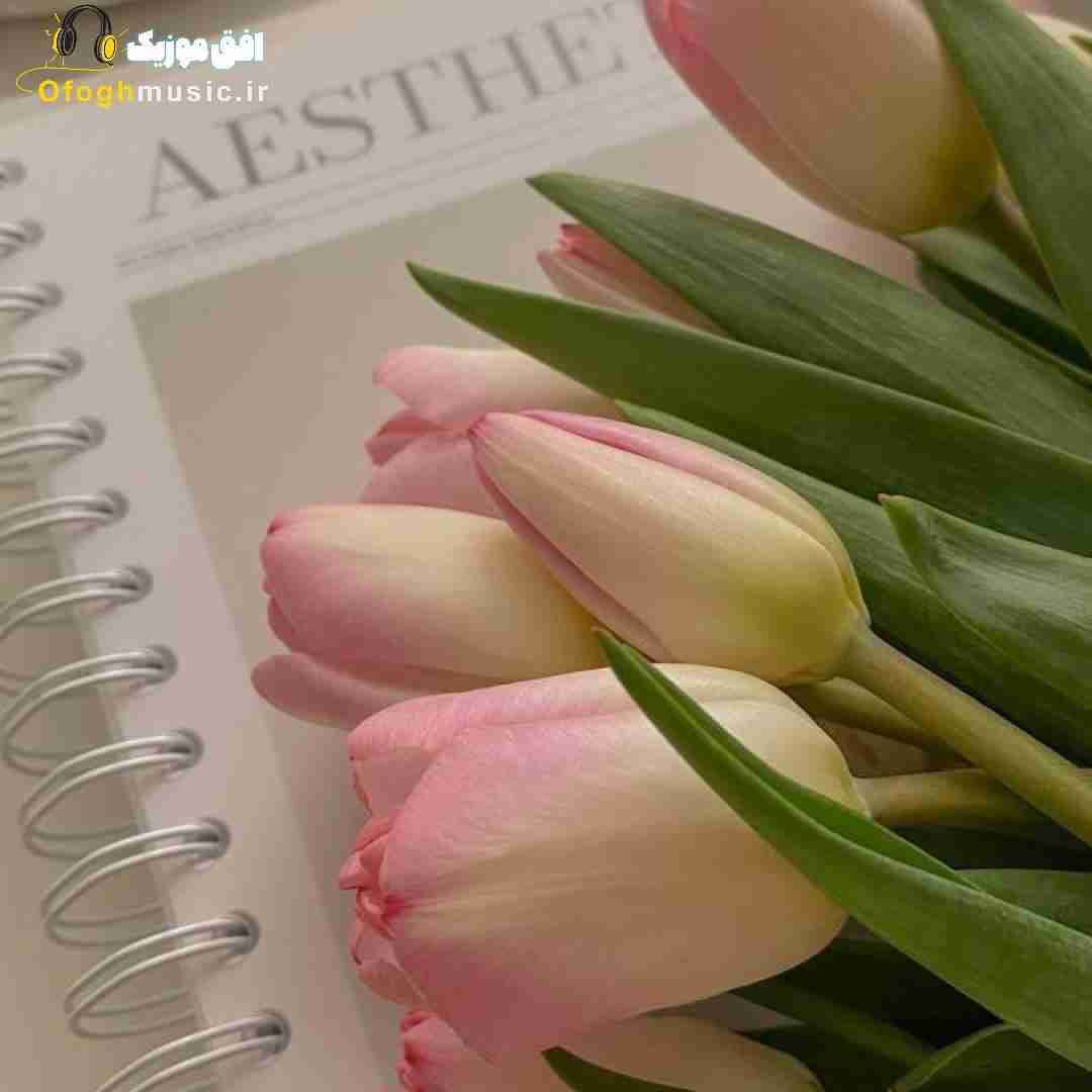 بزن کنار مشکوک میزنی کلک جناب سروان یه جوونم