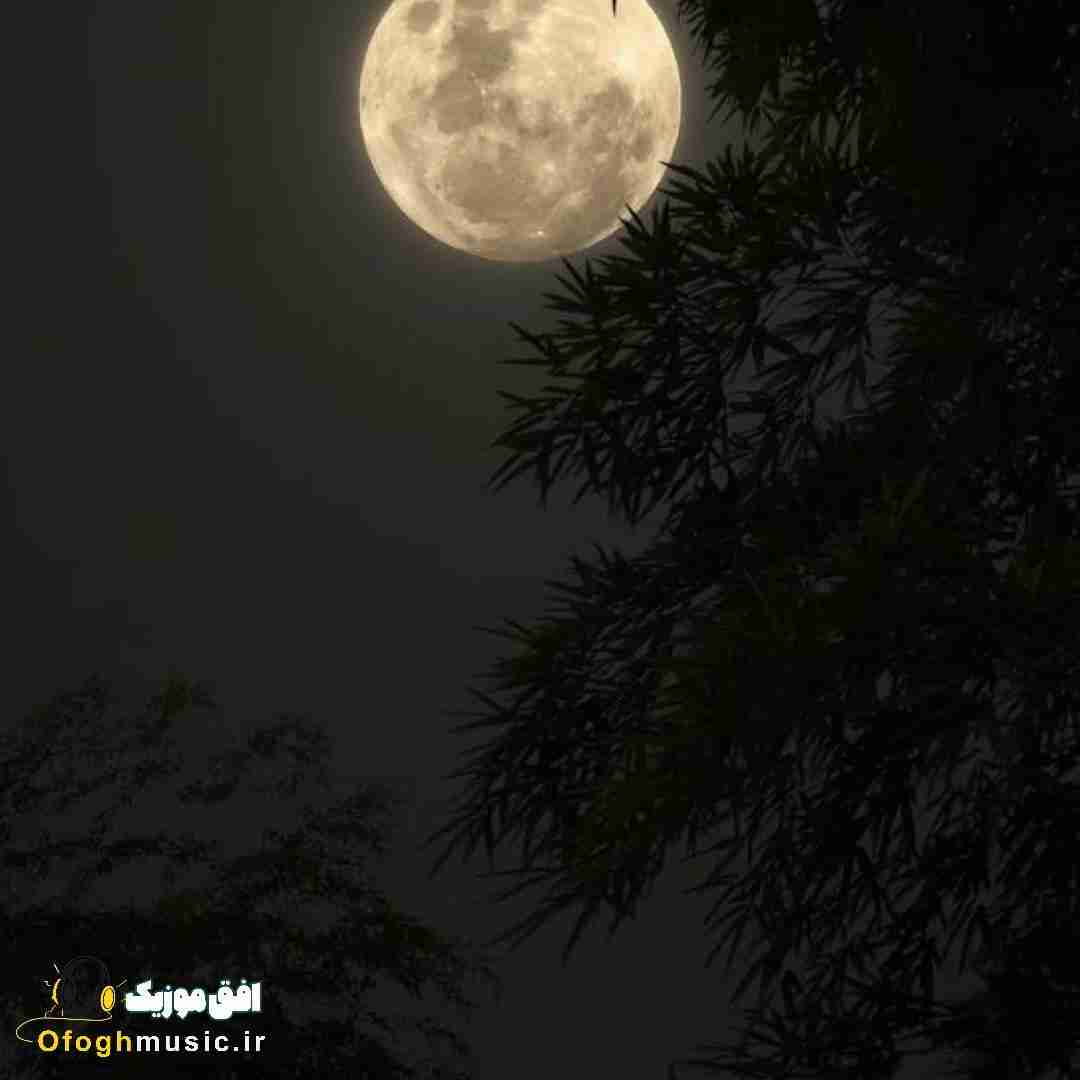  باید رفت فراموش کنی که بودم وابستت
