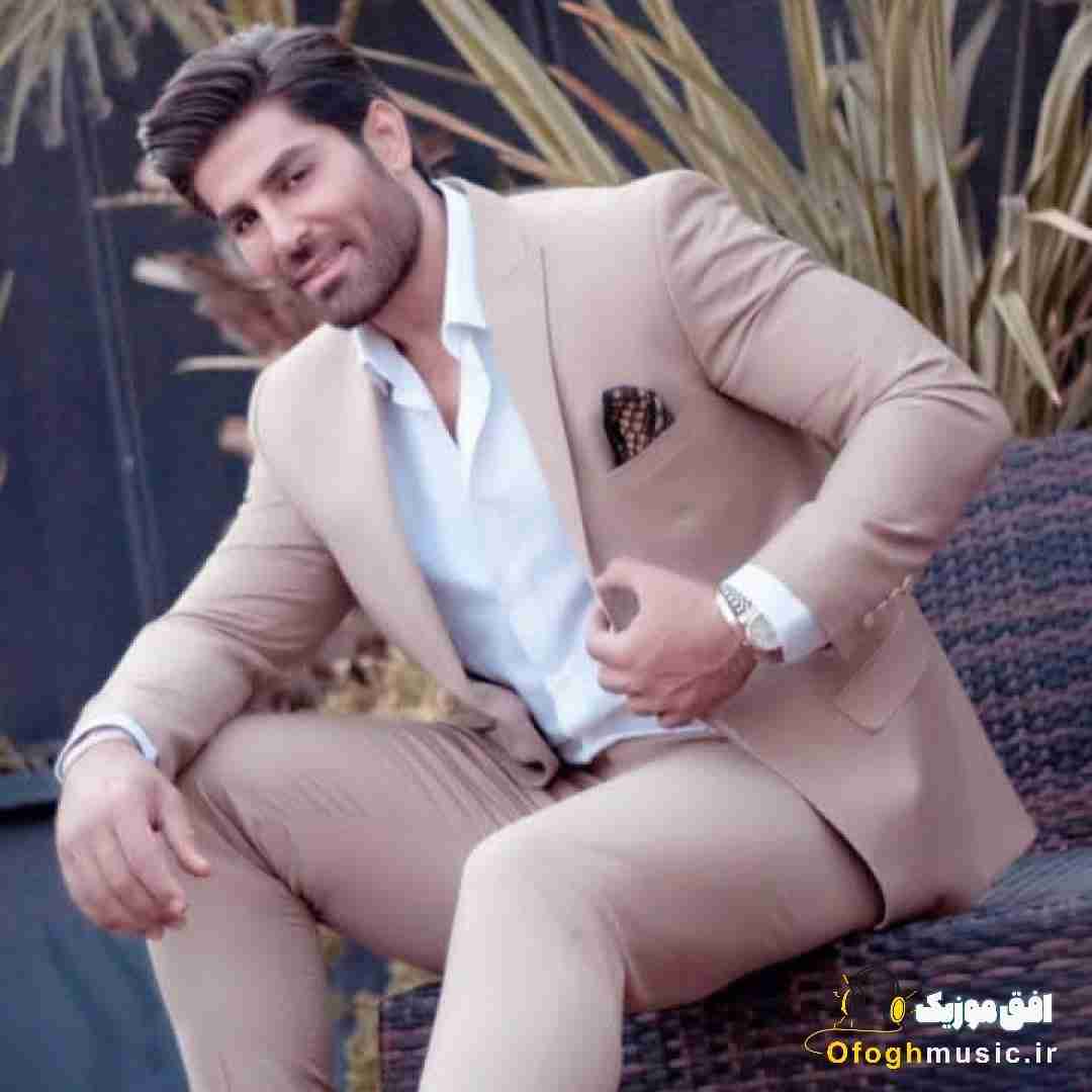 رضا ملک زاده یادت هست