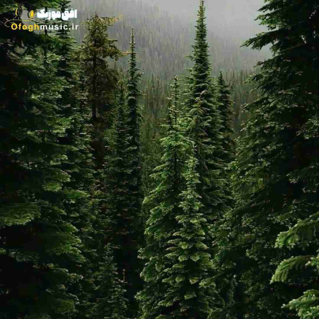 خوشگلی مثل سیندرلایی تو واسه منی تا ابد باهامی