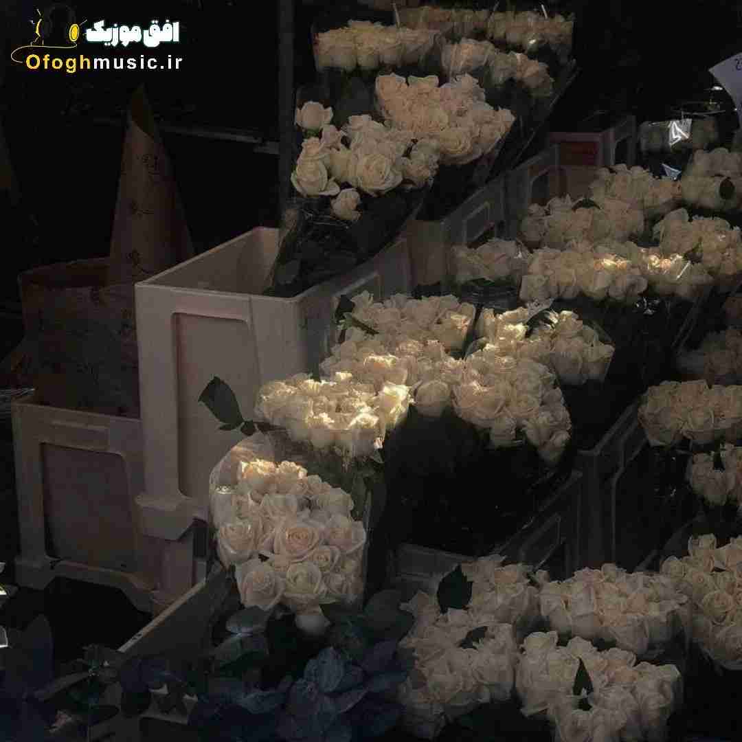  تجسمت تو لباس عروسی قشنگ بود تو دوس نداری