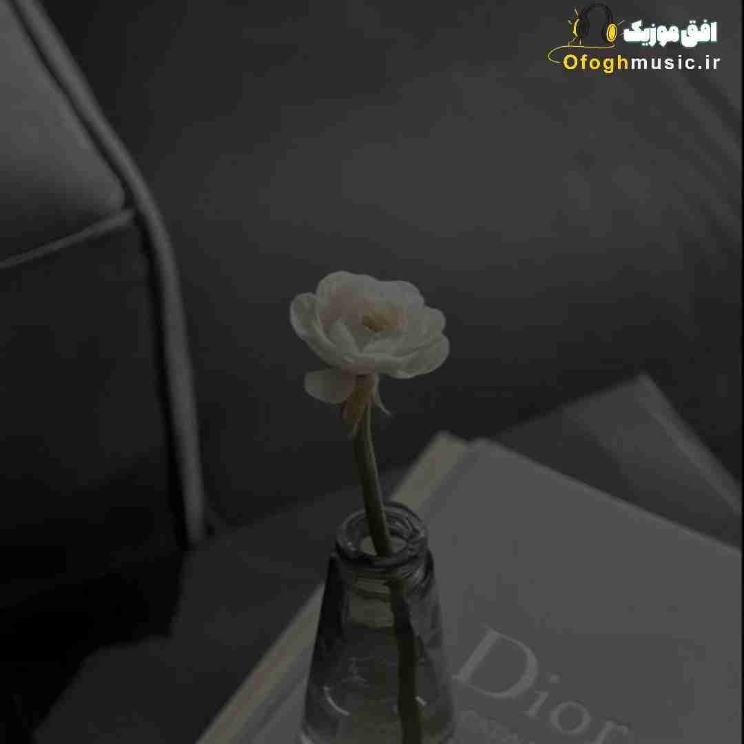  کاش از جلو چشمام قیافت میرفت یکم