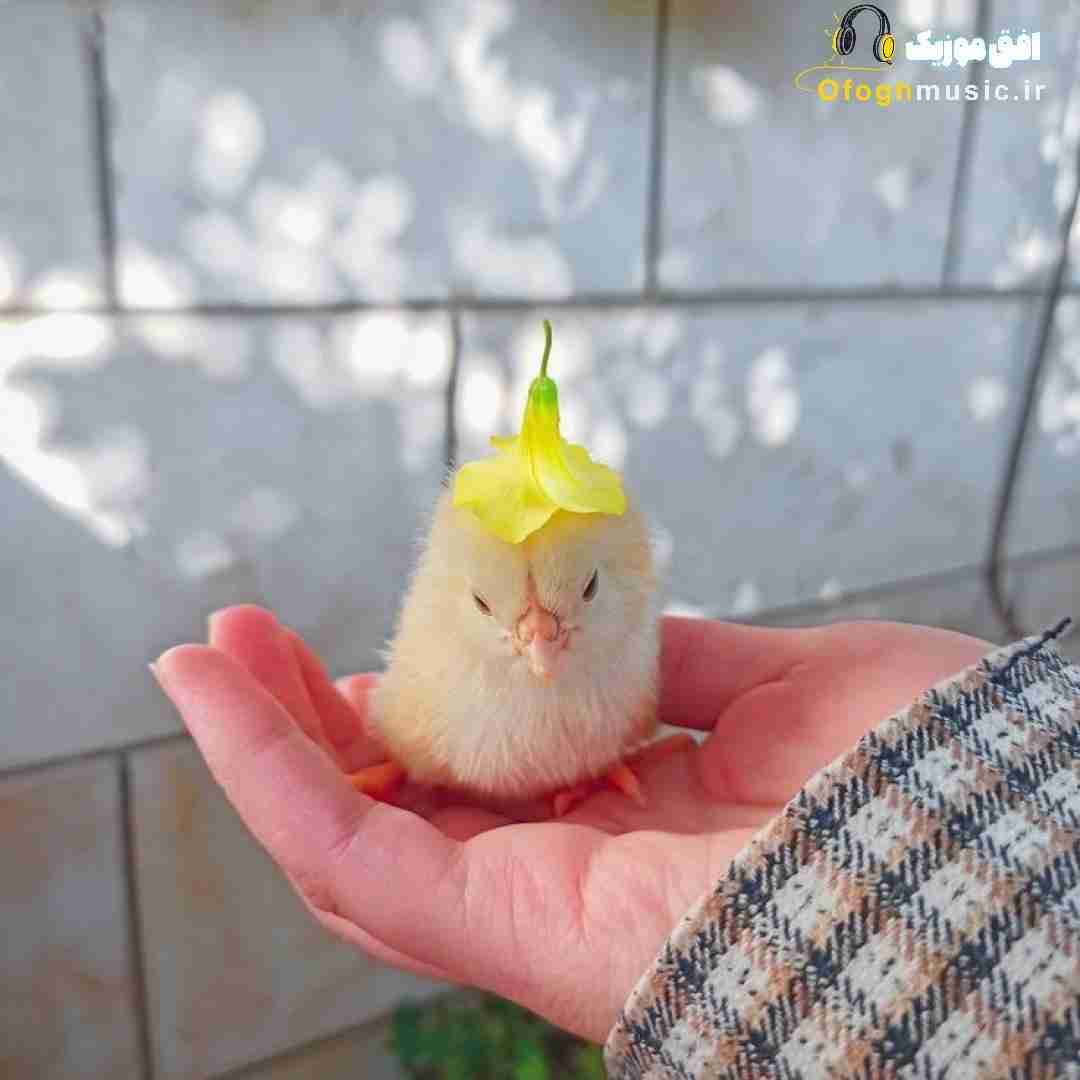  اون با همه حالش خوبه با همه آدما جز من