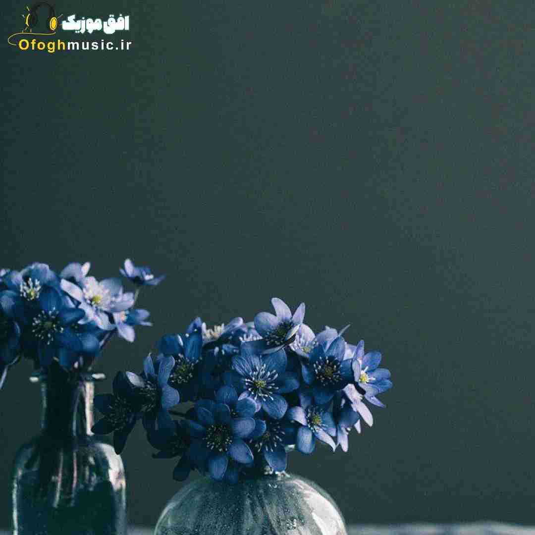  صدای خندت آتیش نورشو میتابه توی جنگل