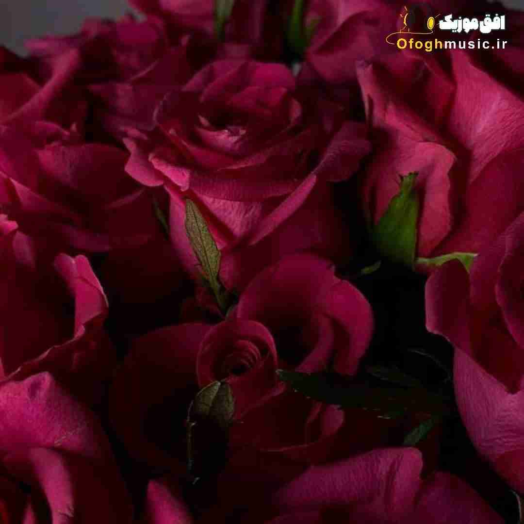  ولی این دفعه من قهرم باهات مینویسم یه نام بد خط
