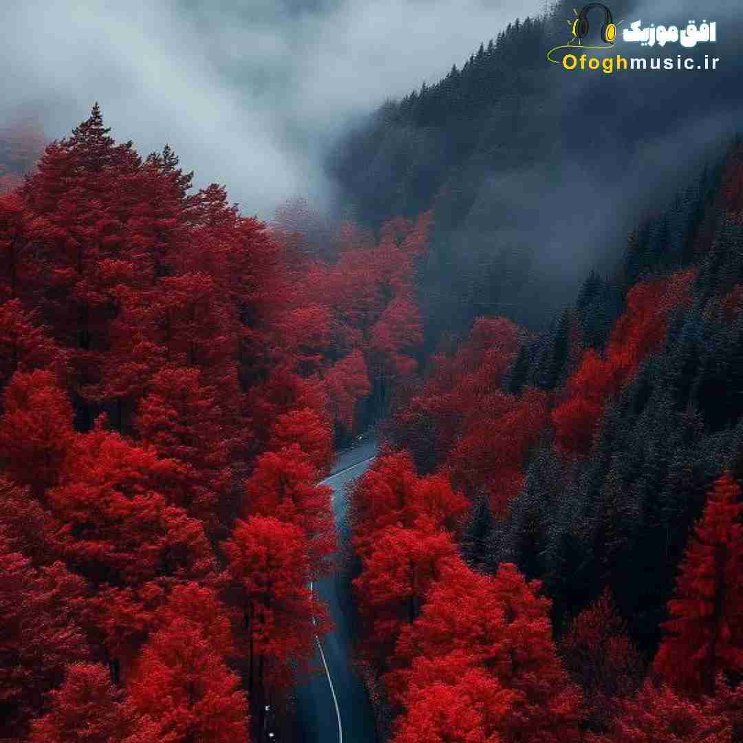  هر دفعه دیدم مرگمو سر تو هر جنسی بوده رفتم