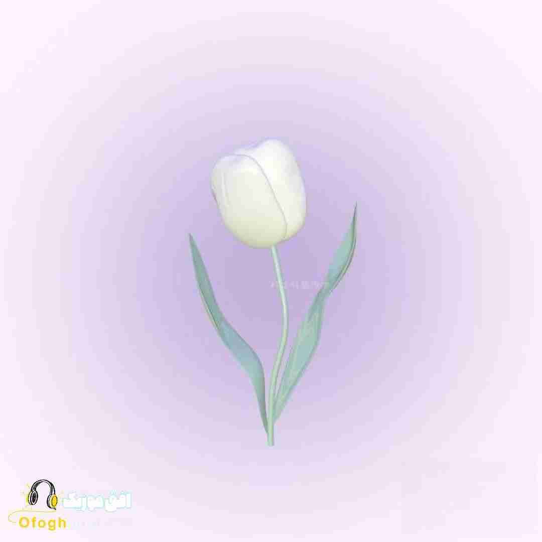  نازنین از وقتی رفتی هم با همیم نیلوفر یادم میاد