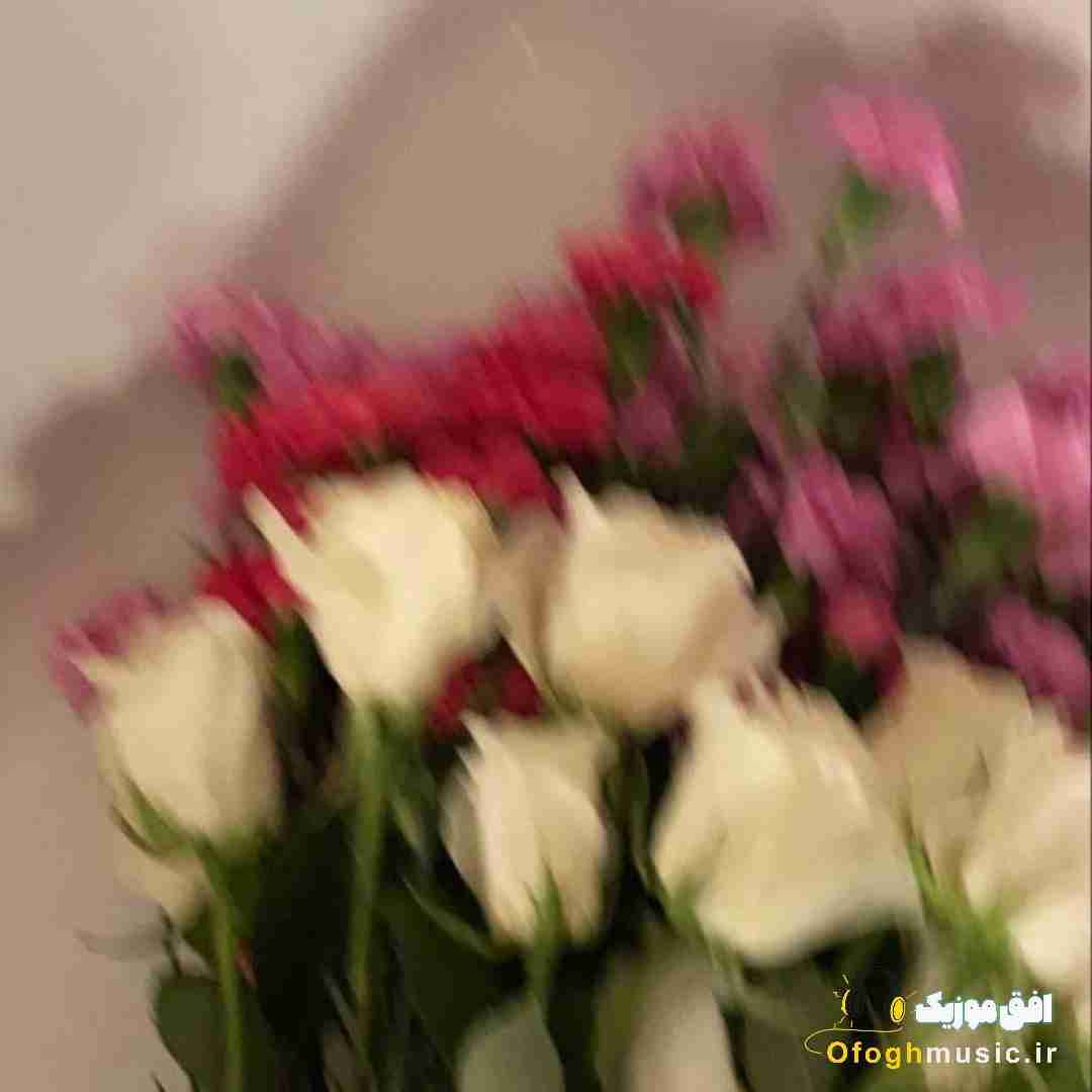 منو بسپار منو بسپار به گذشته نکن انکار
