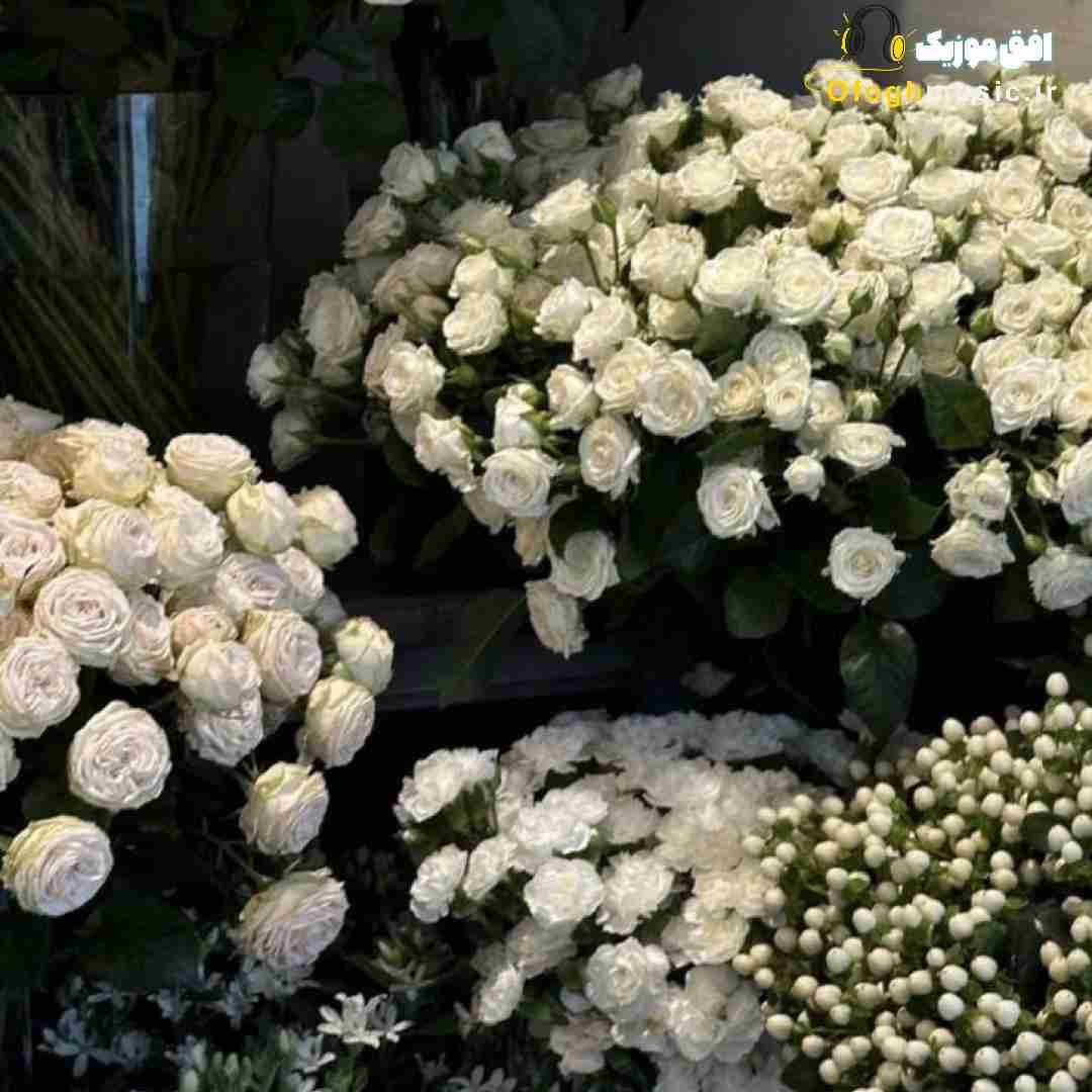 داشتم فراموشت میکردم که شد پیدات لبام رو گردنته