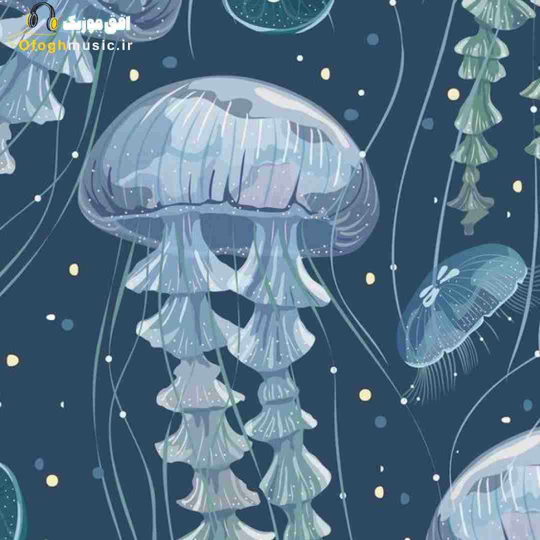فاطمه مهلبان یاد تو