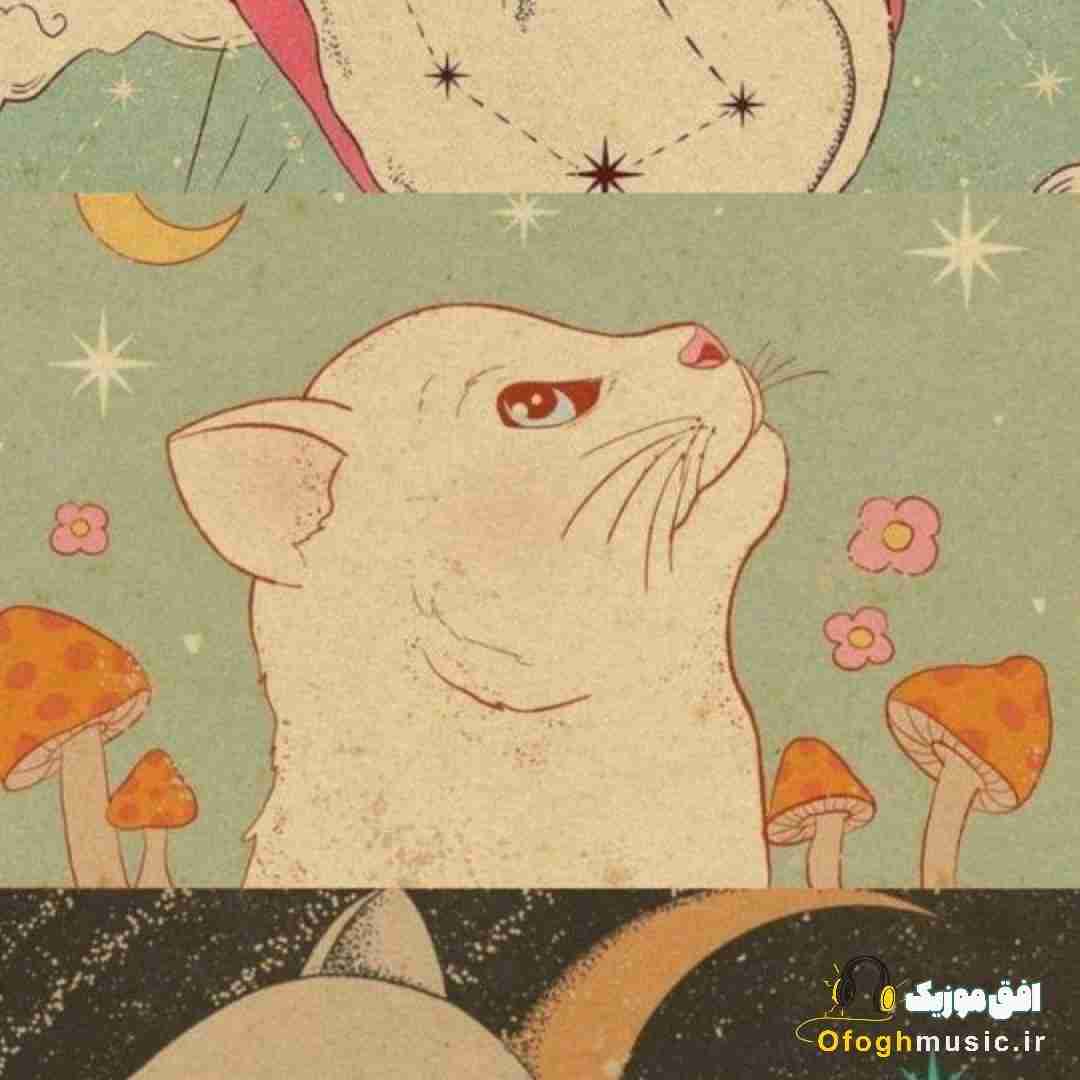  پیش مین بودن لیاقت میخواد ا اون قیافت میاد