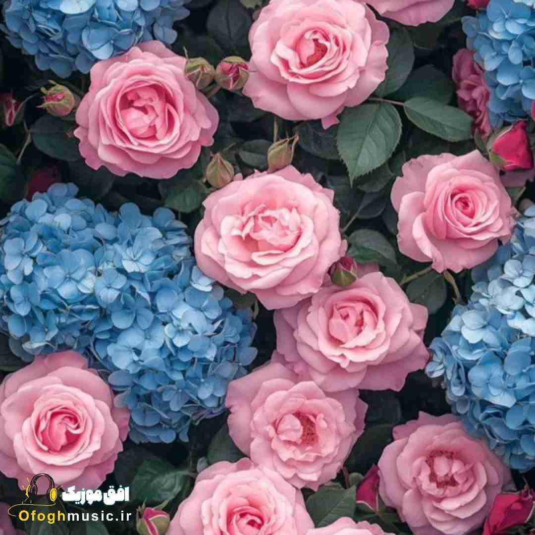 عروس چقد قشنگه دوماد چه شادو شنگه
