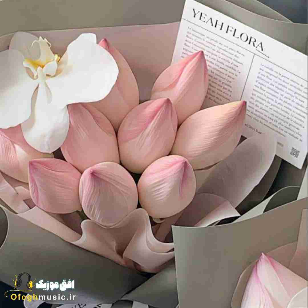  همش روی تخت پیدام میکنن مدیرم میگه چشمات چیشدن