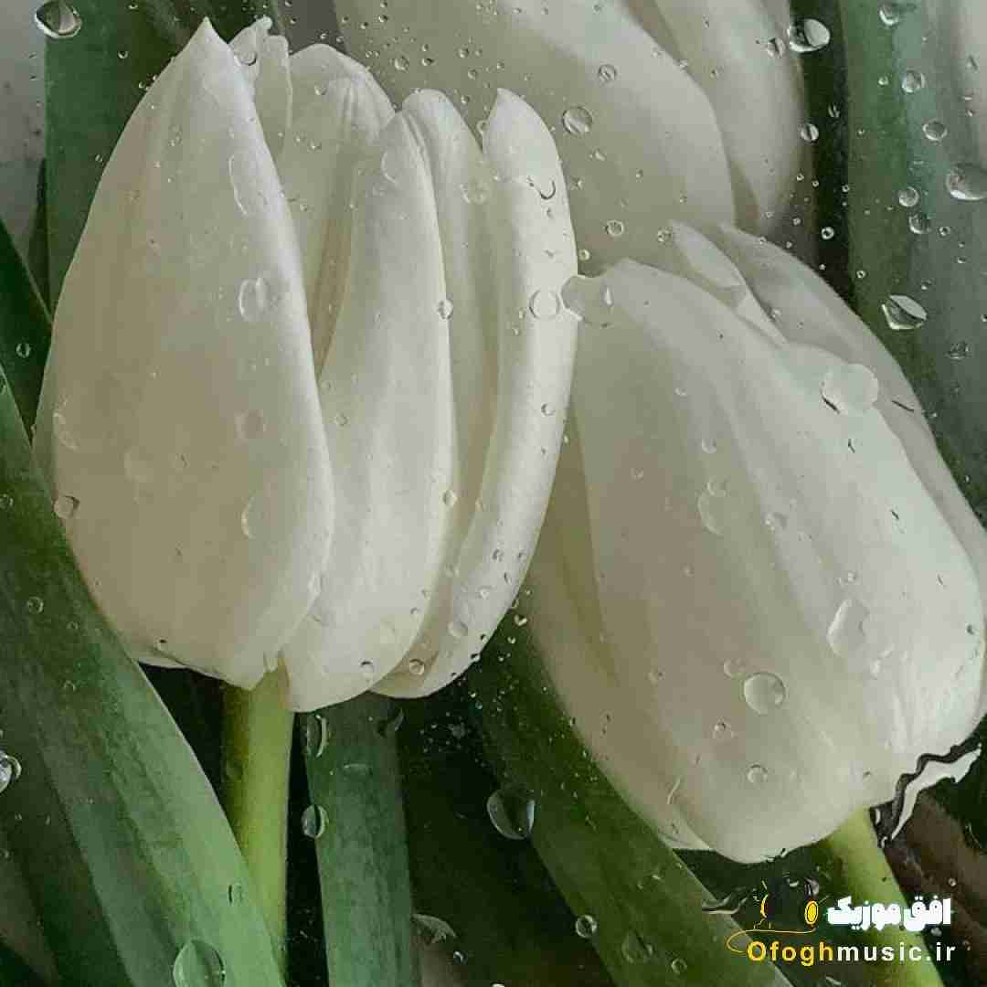  آخرین خنده از ته دلت کیه بزن زیرش بزن زیر گریه