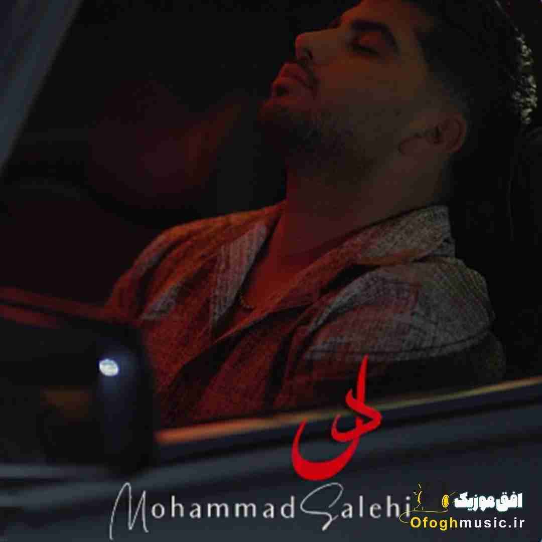 محمد صالحی دل