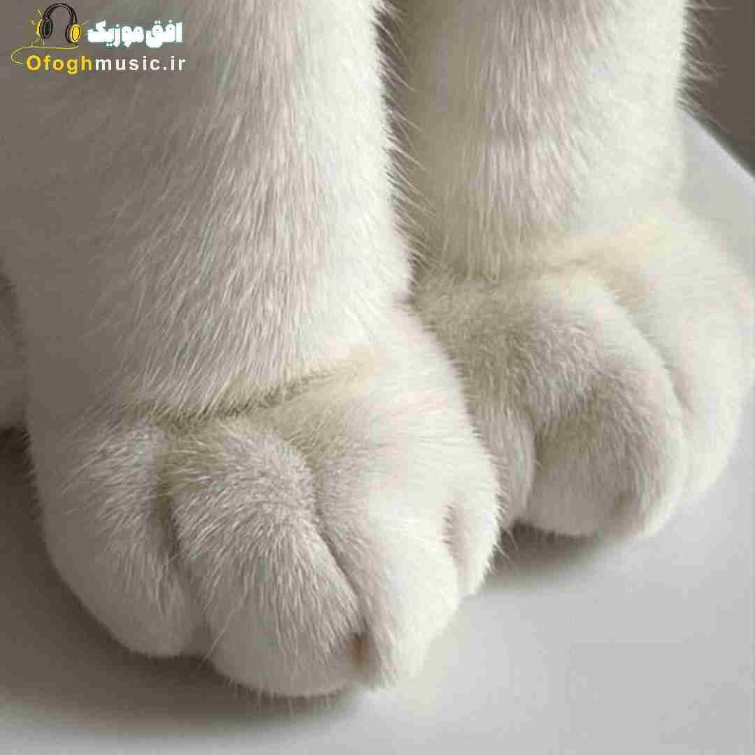  اما تو باز منو بردی توی احساس منو بردی