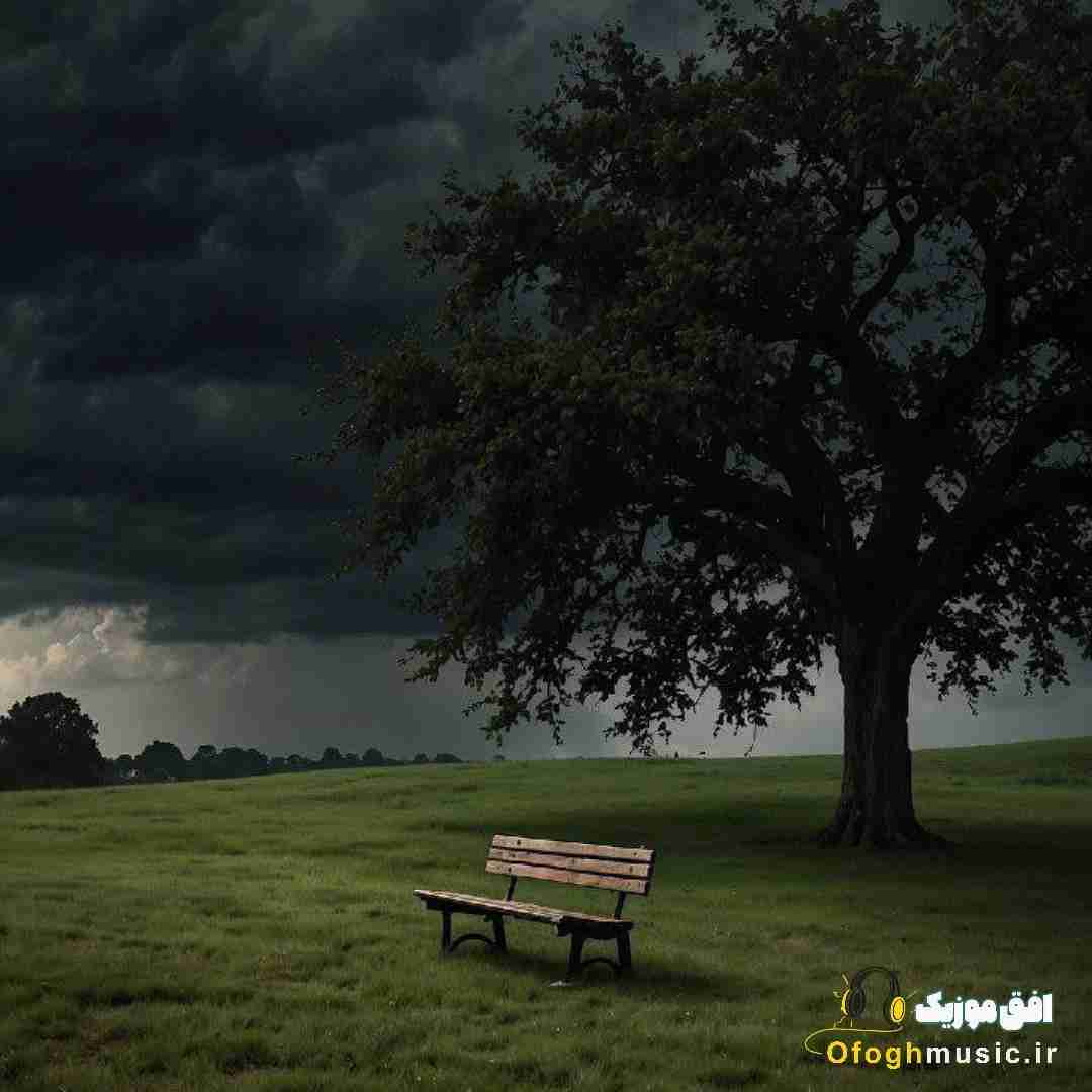 دشی همه جعلی ان