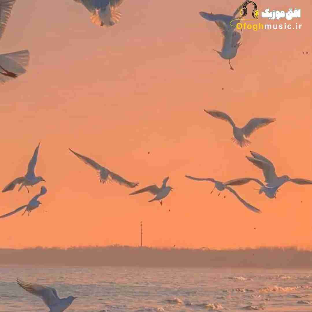  نه دیگه دیره دل من گیره از همه سیره میخواد