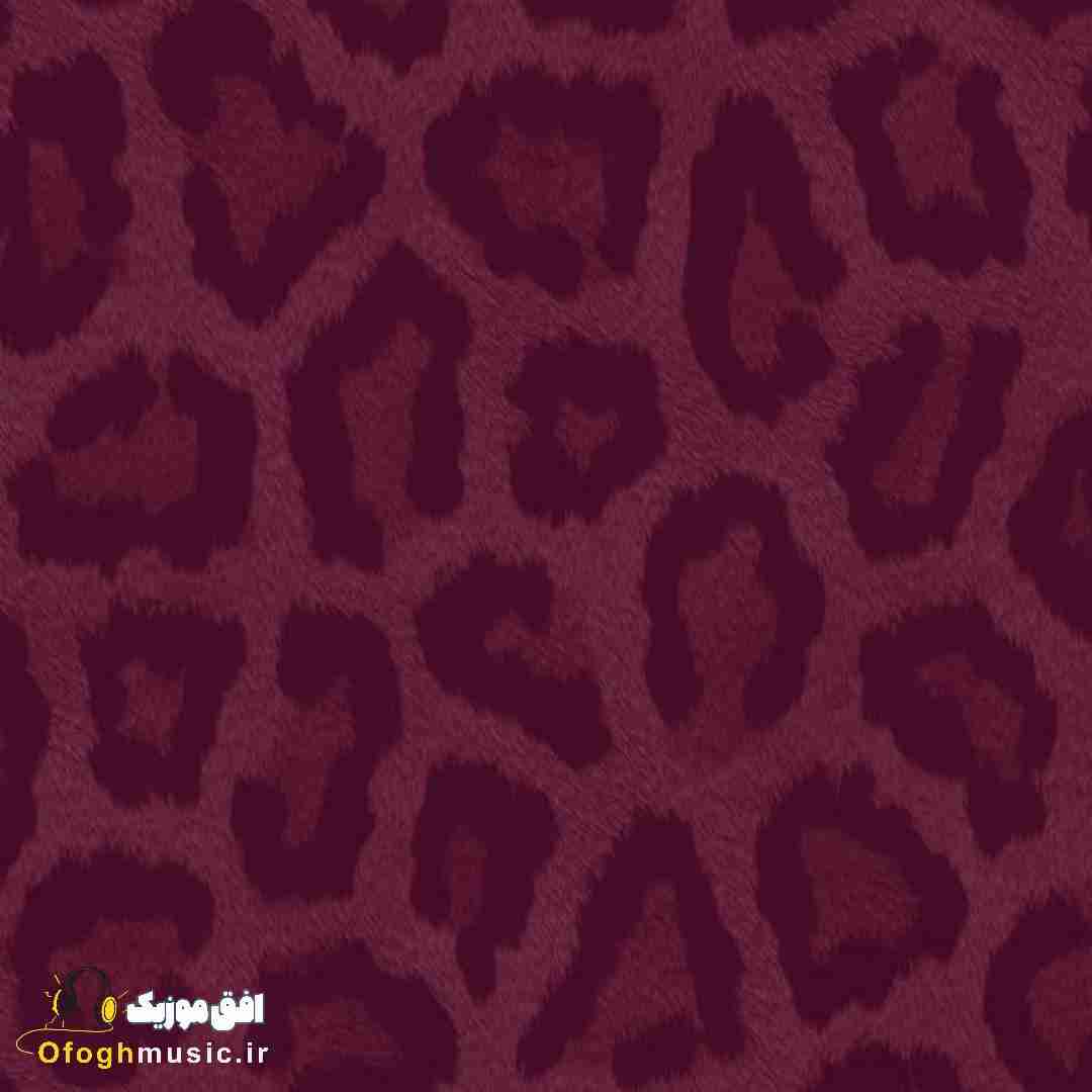 قلب تو پروانه اس زد پر کی میزنه حرفاتو باور تهش