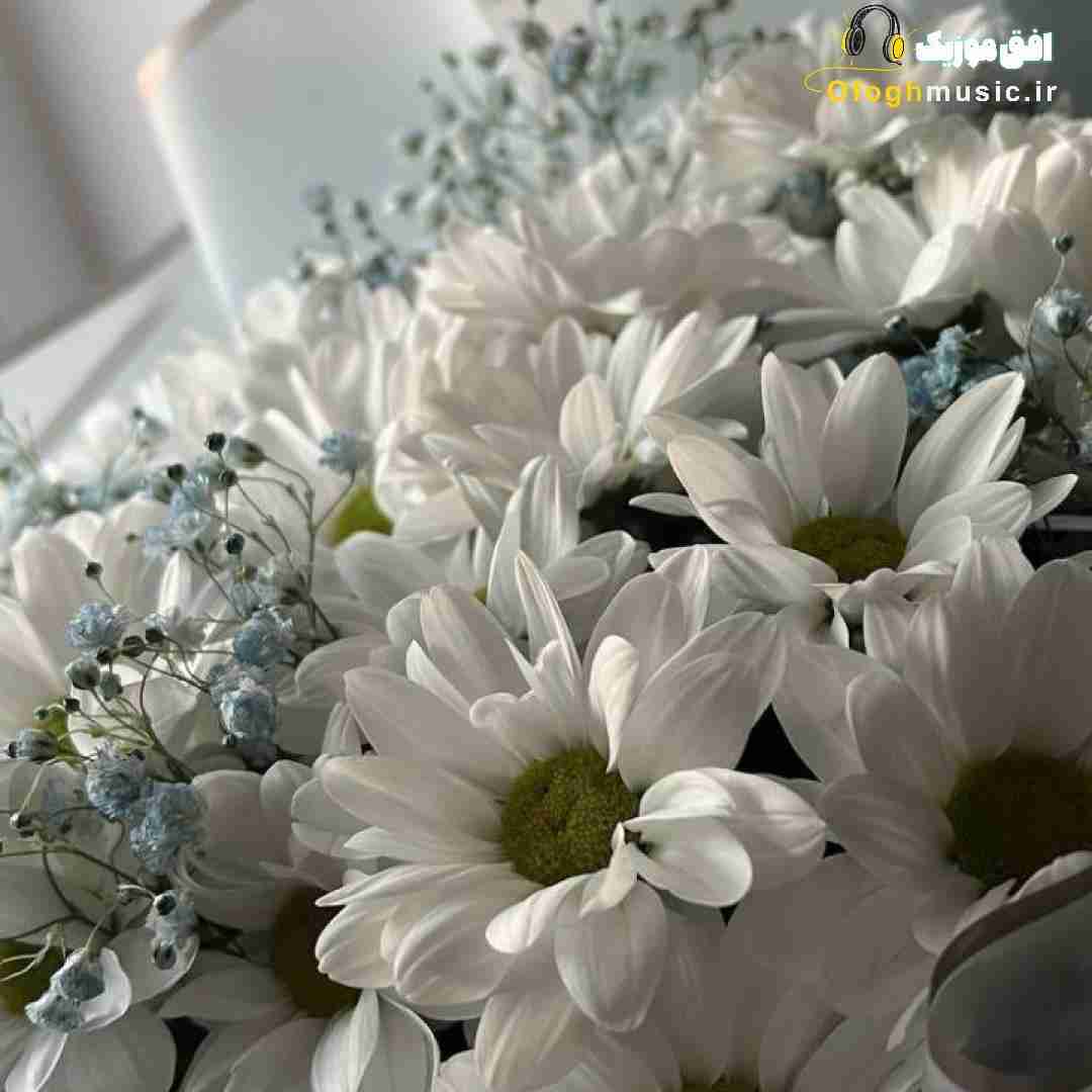  چشام باریدن تورو تا دیدم باهام بازی کرد با صدای پسر