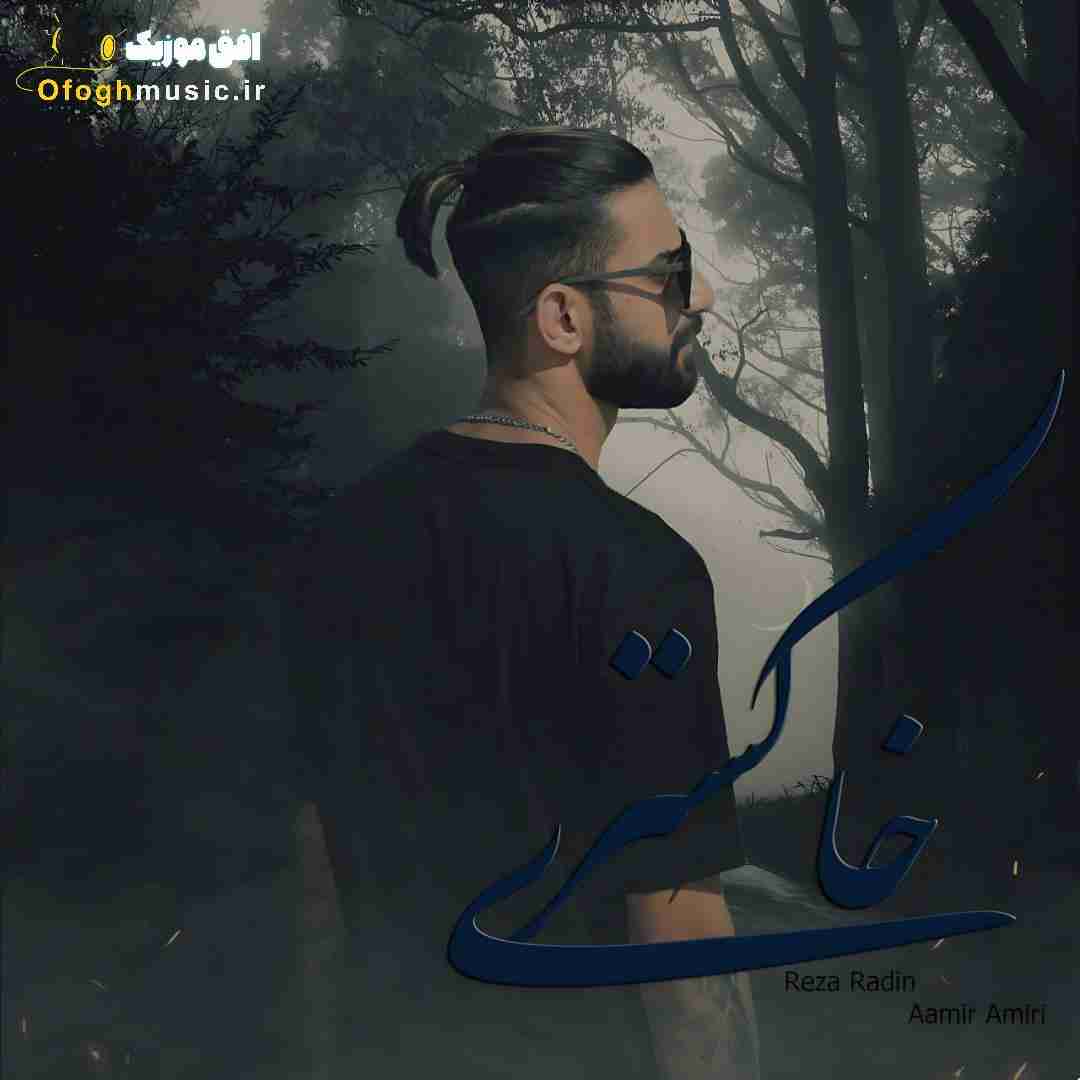 رضا رادین خاکستری