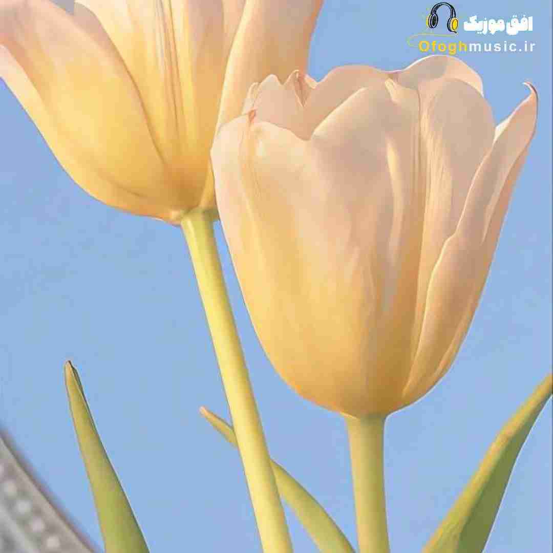  غم پره تو هواش تلخ تر از الکل رو نباش