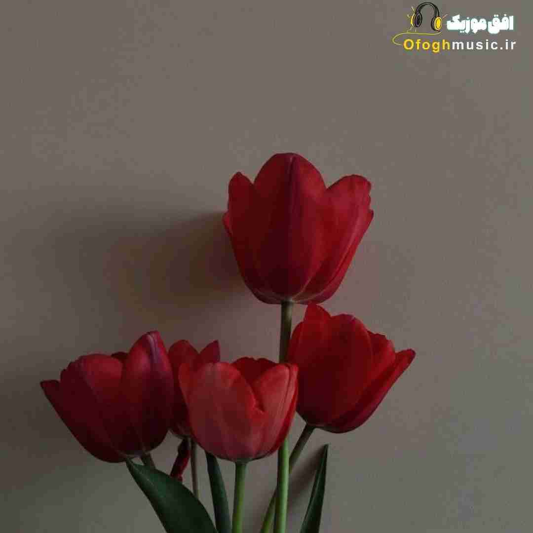  خوبی از توعه من بد دوری از توعه من نه