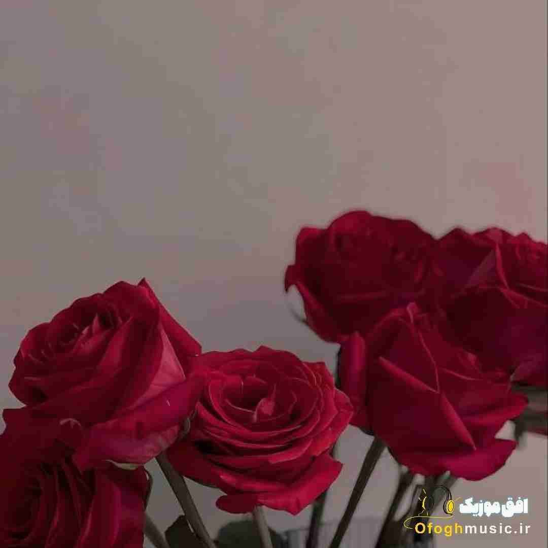  میچرخه زمین تشنه به خون زمان بی رحمه