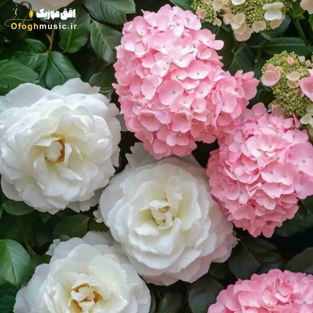 ایموجی لوس میدیم ته تکسامون بذار همه ببینن