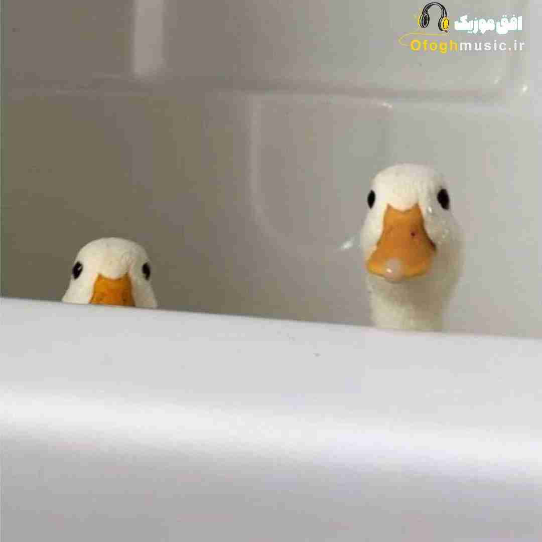  با همه خندیدش ولی من نه هرکاری کرد گفت