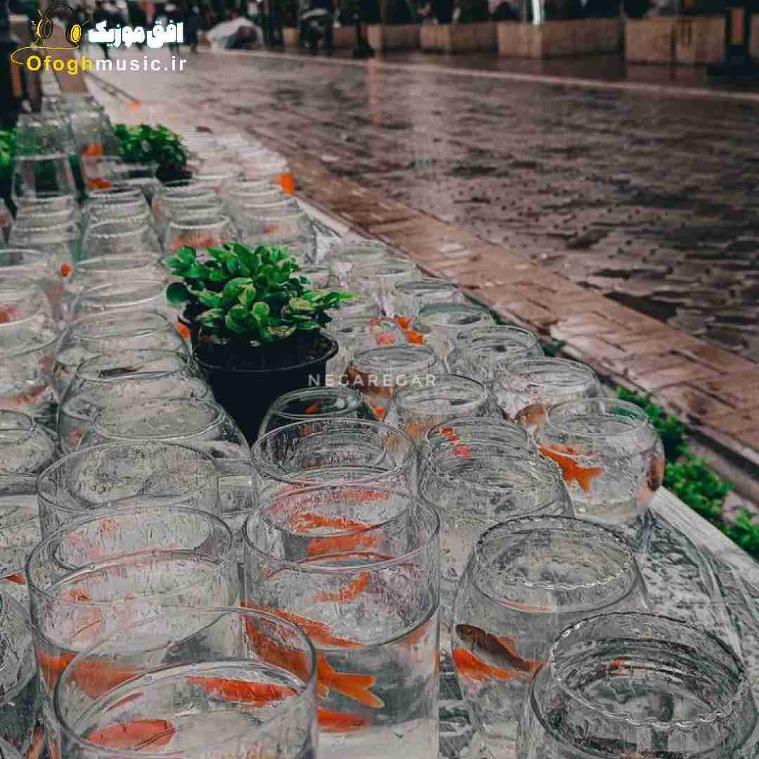 این پسر فقط پیش توعه خودشه واسه ما که نشد