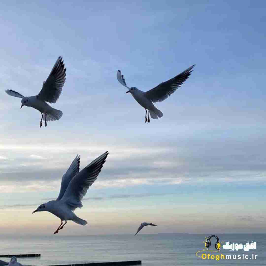 فاطمه مهلبان میاه بیته