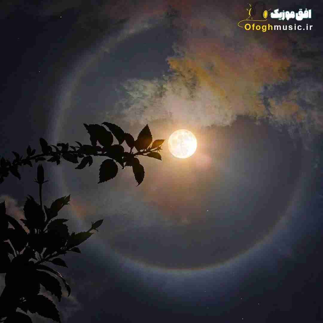 مردمو زنده شدم سرخ از خون گلو (میکس ترند اینستایی)
