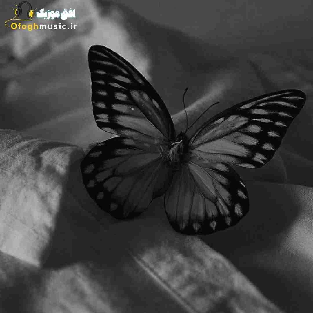 آدما فقط به پول میذارن احترام تو واسه ی پول کسی