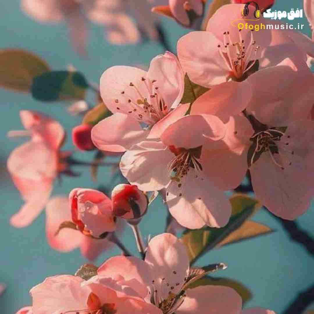  انگار همه ی حس هارو دارم صدا کن در گوش اسممو بازم