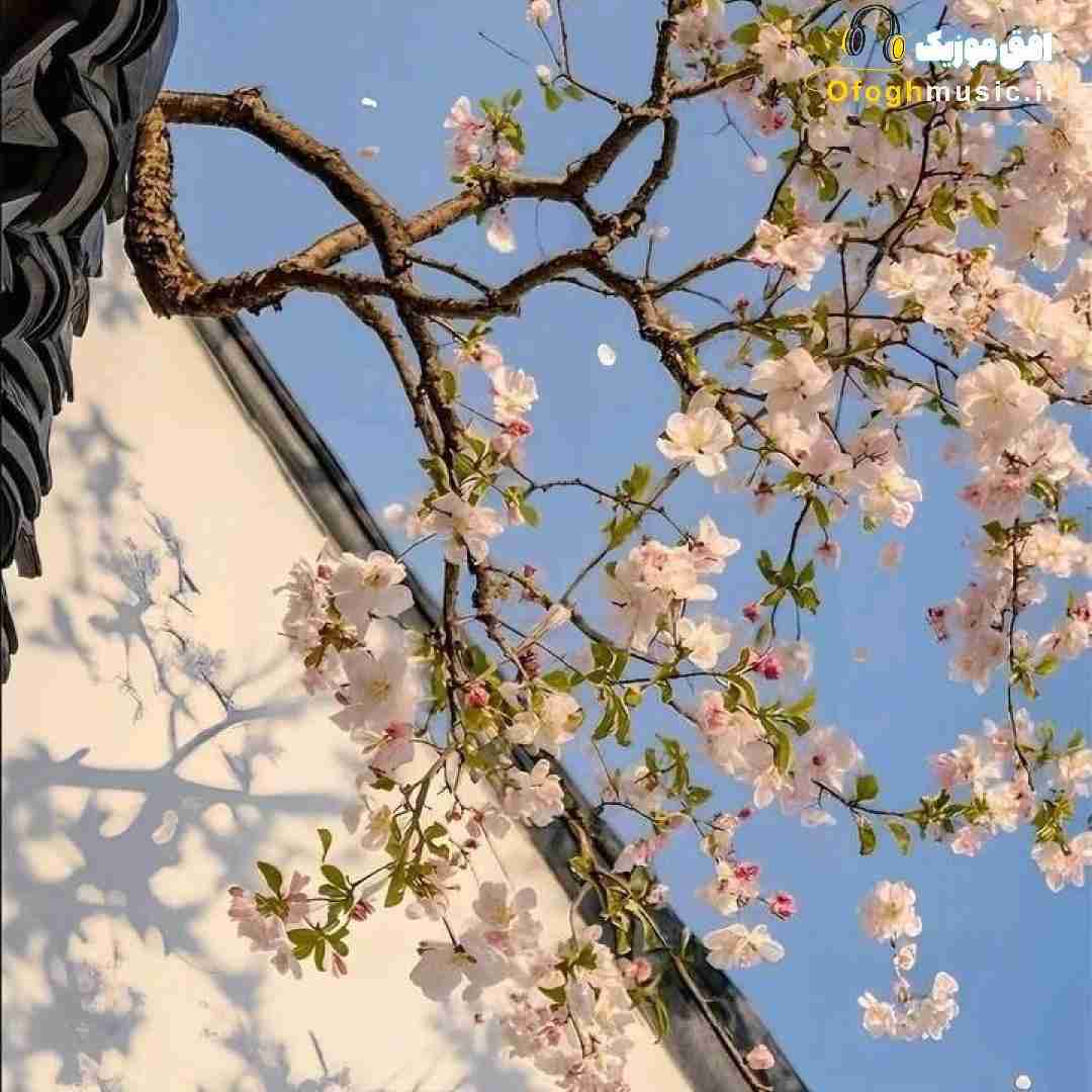  به خودم قول دادم این بار از کسی قول نگیرم