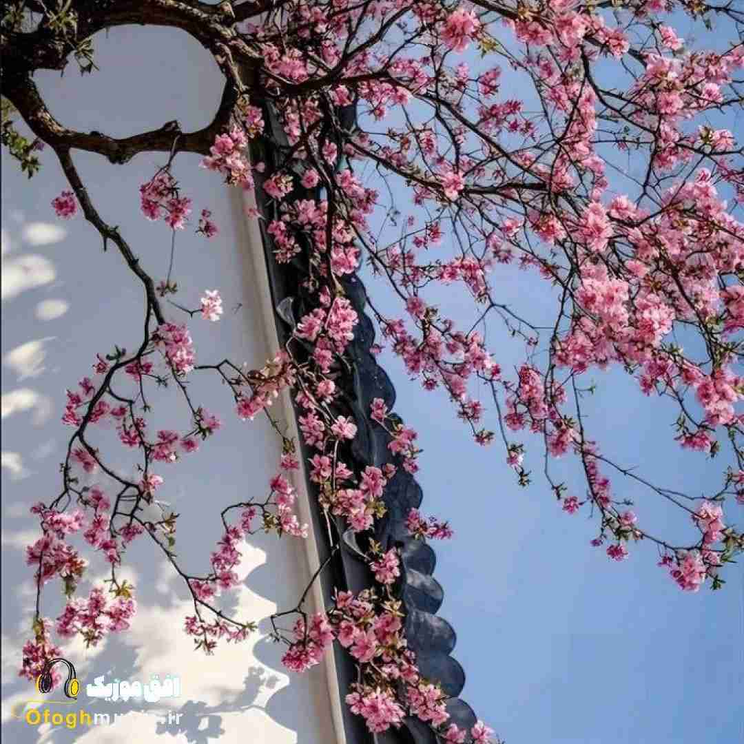 لب ساحل 5 صبح همه روزارو حفظم اگه یادت