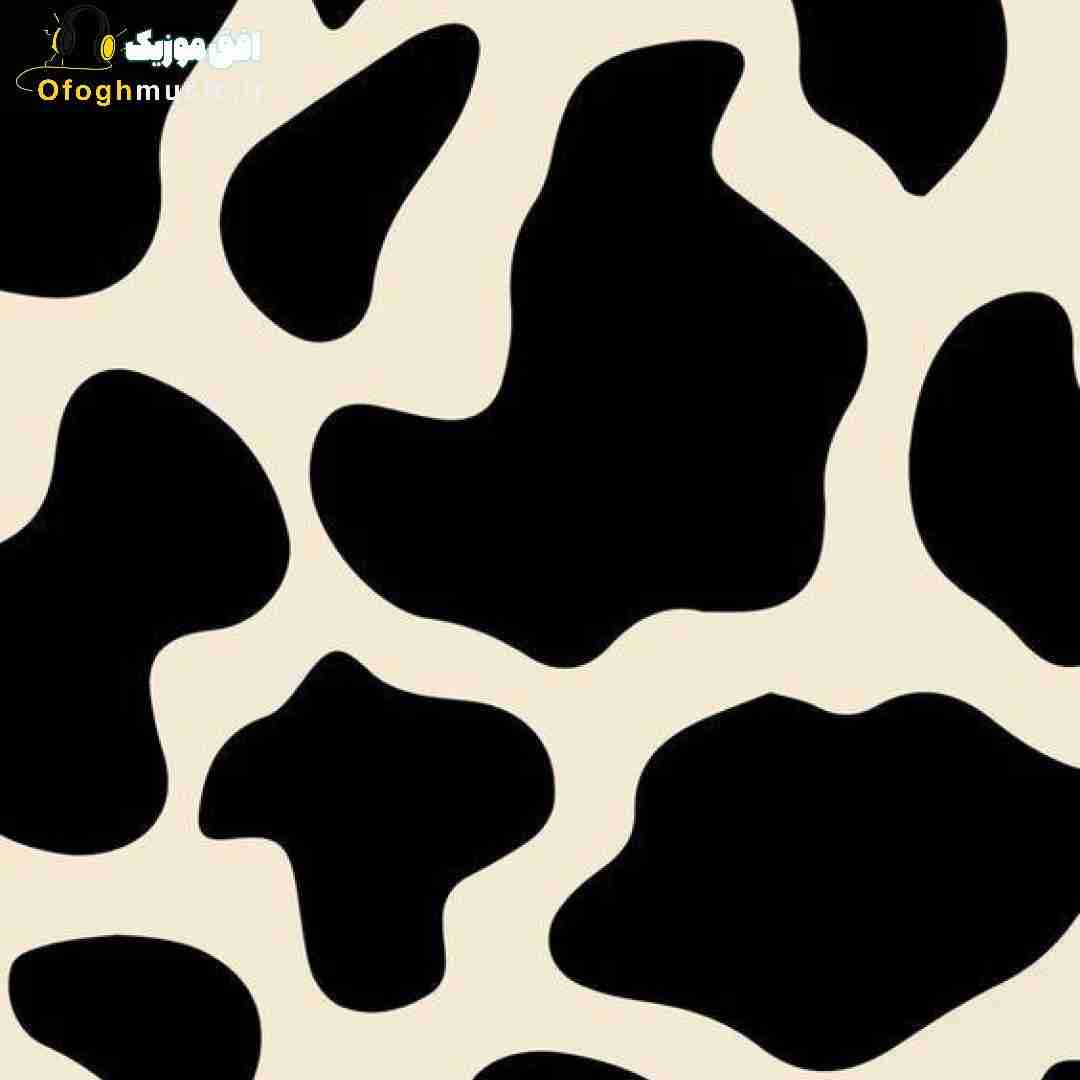  تو اتاقم دارم از تنهایی آتیش میگیرم ای شکوفه