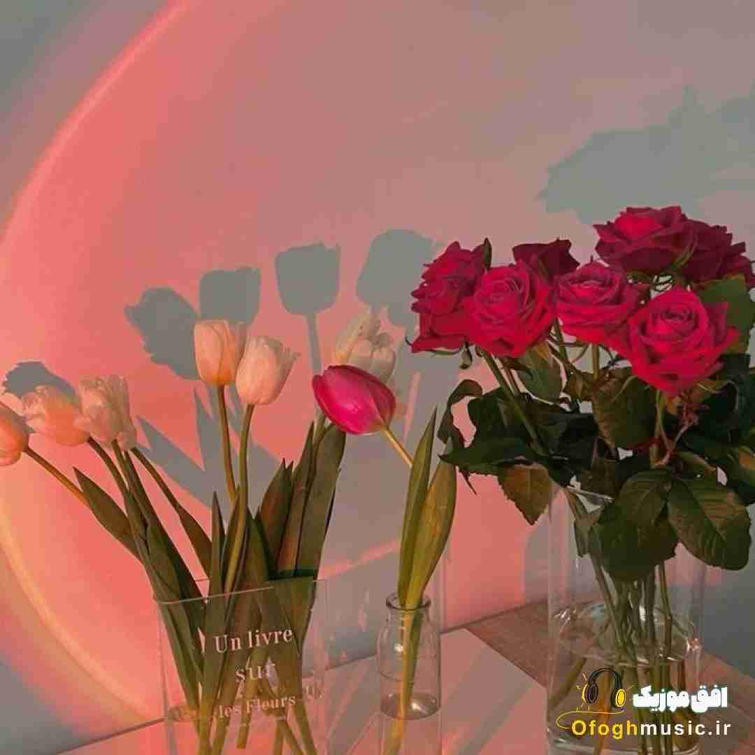 ستایش صادق زاده زهرا قشنگه