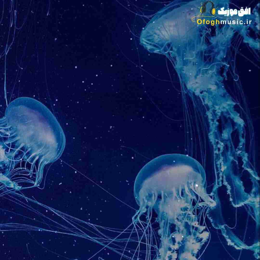 لب دریا اون شب تورو بوسیدم من چقد دیر فهمیدمت