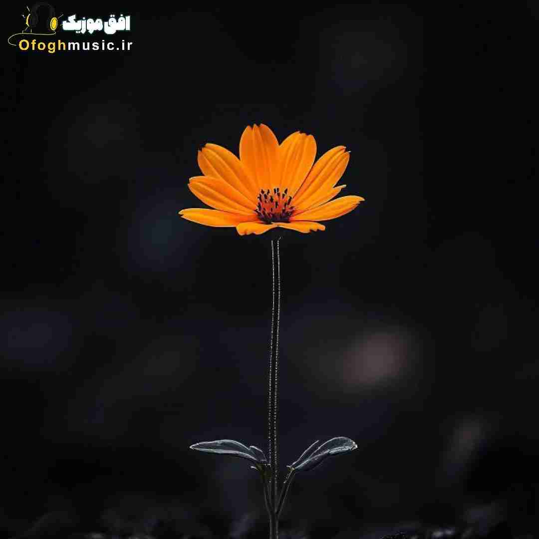 هی دلمو میشکنی رو لبام اما هنوز اسمتو میشنوی