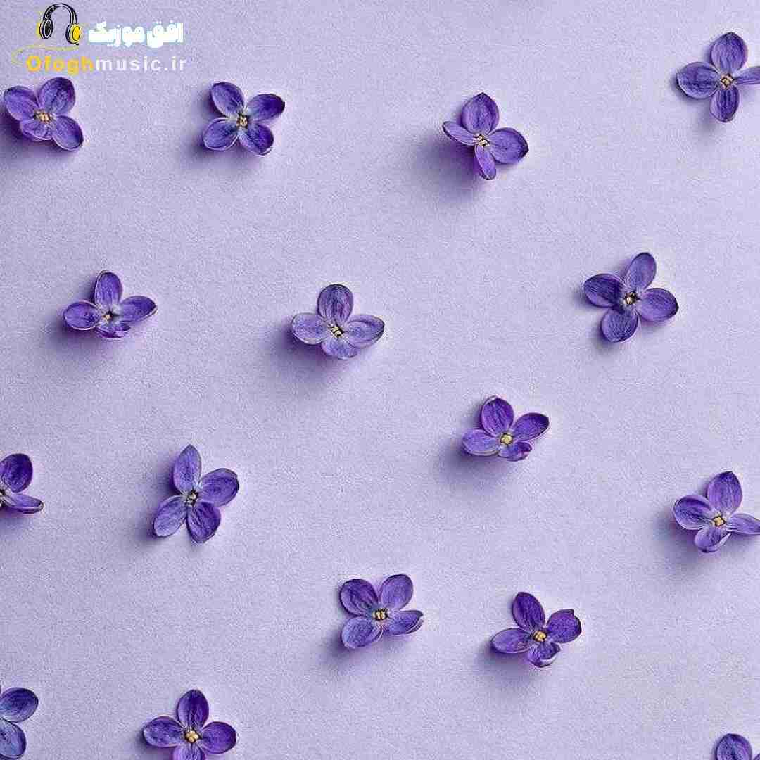 دنبال تو ام توی هفت آسمون عکسات مال من