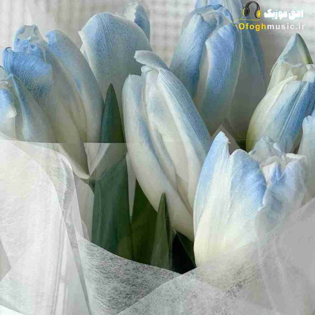 میام دیدنت توی دنیای جدیدت بغلت میکنم