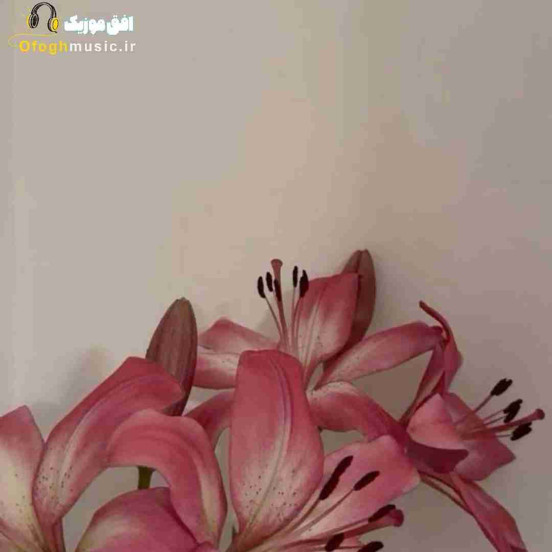  کجایی بامرام تو که حسابت سوا بودش (میکس اینستایی)